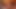 Passionate couple confesses their love and fucks intensely in a cabin