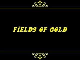 Золотые поля