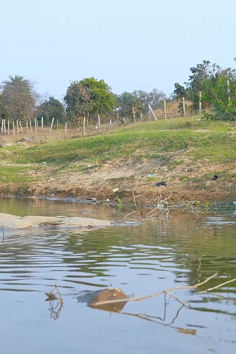 Sex with Village Girl