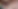 Fat virgin loser cumming for daddy