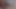 アジアン・エンジェル28303