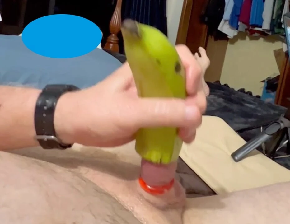 Mali penis jebe sočnu bananu sa svršavanjem