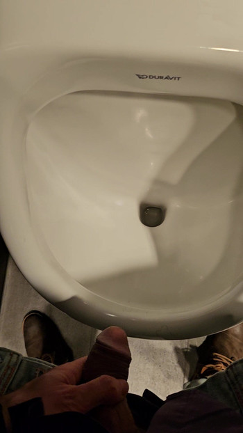 Pissing on public hotel toilet