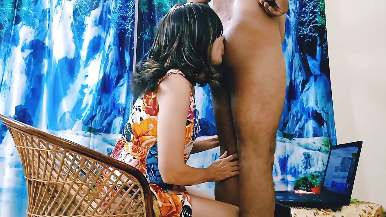 白仙女的喜悦
