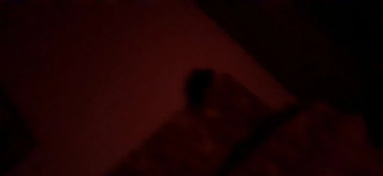 I don't  know  the  video  sanetinkg sprays
