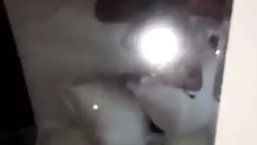 Ts f