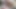 Degenerates nehmen doppelte vaginale (dv) jungfräulichkeit von Riesenmöpsen &fettem arsch, wilder freak Avalon mira - Porno dan 4K