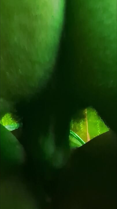 Getting to know GF with water coming in at night