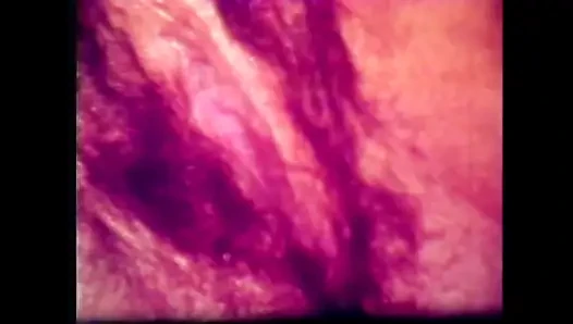 Der Geschmack Meines Schwanzes