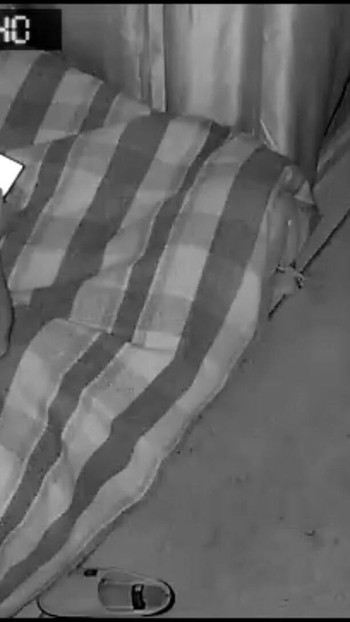 Selen的室友着火了，但赛伦其他人 | 短片 2