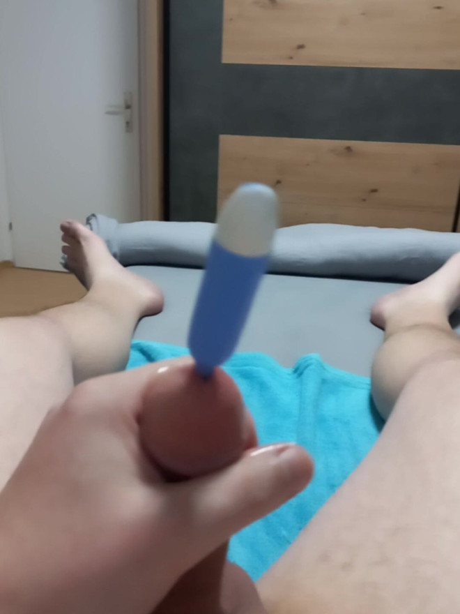 Ympärileikattu kulli kuulostaa mälliltä