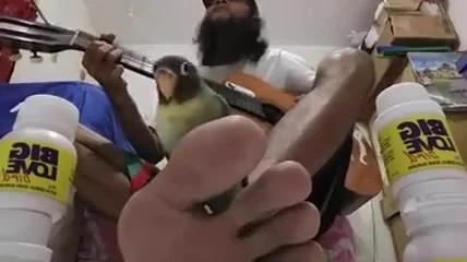 Дорогой Бог