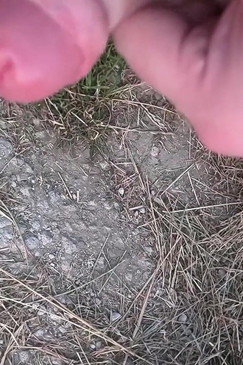 Outdoor Cum, Jerk, Wank, Toss