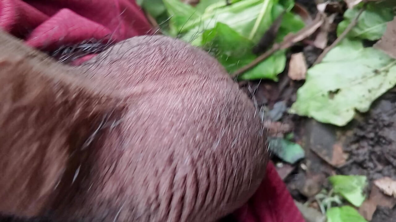 Big ass ejaculation latina slut begs for a big black penis