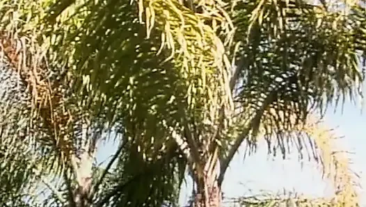 Blonde Schönheit masturbiert im Garten