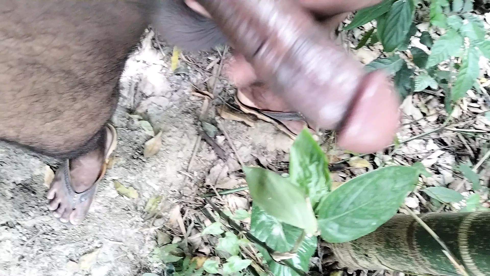 Video di sesso di xhamster video di sesso