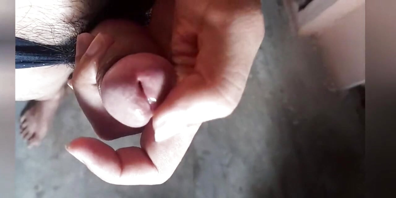 The cock is standing in the underwear.