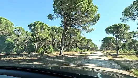 Aku ketemu sama wanita di hutan dan ngentot memeknya habis-habisan sampai aku crot di mulutnya