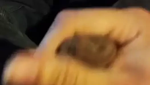 hızlı bir pislik