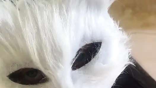 Today I'm a Naughty Kitten Who Wants Milk