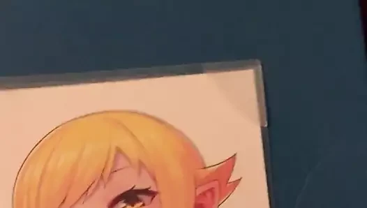 Shinobu SOP