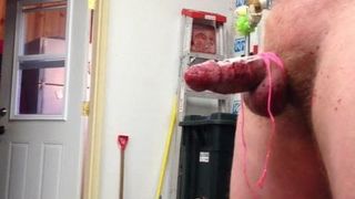 Cock penis marteling. cbt. distel