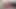 TGIRLS.XXX: Introducing Kapri 5un!