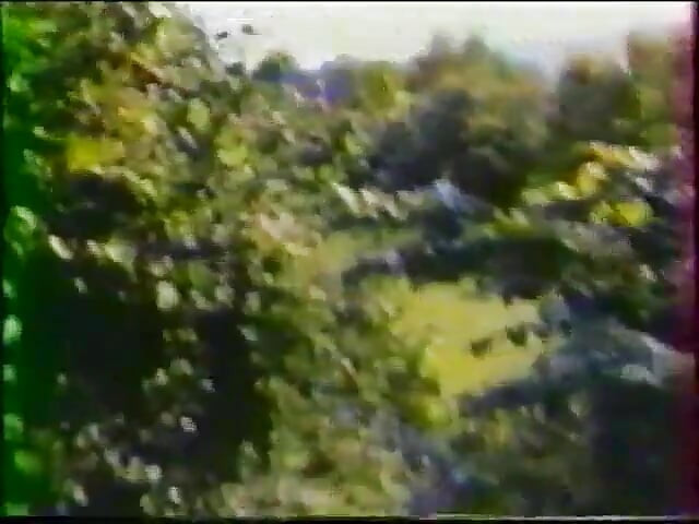 Pahen tutkinta (1977)