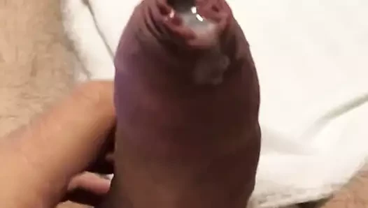 Precum 1