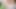 Ayesha Ashii hot teen girl masturbating fingering wet pussy closeup small 18