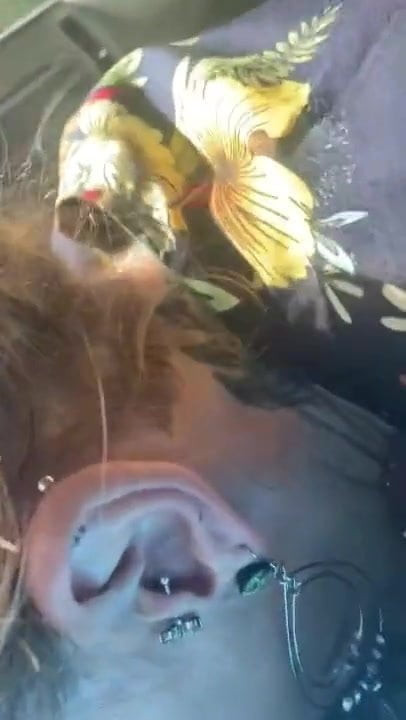 Another blowjob in my car