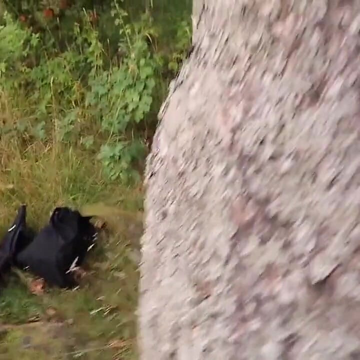 Sneaked Behind a Rock Just to Finish Myself off Fast