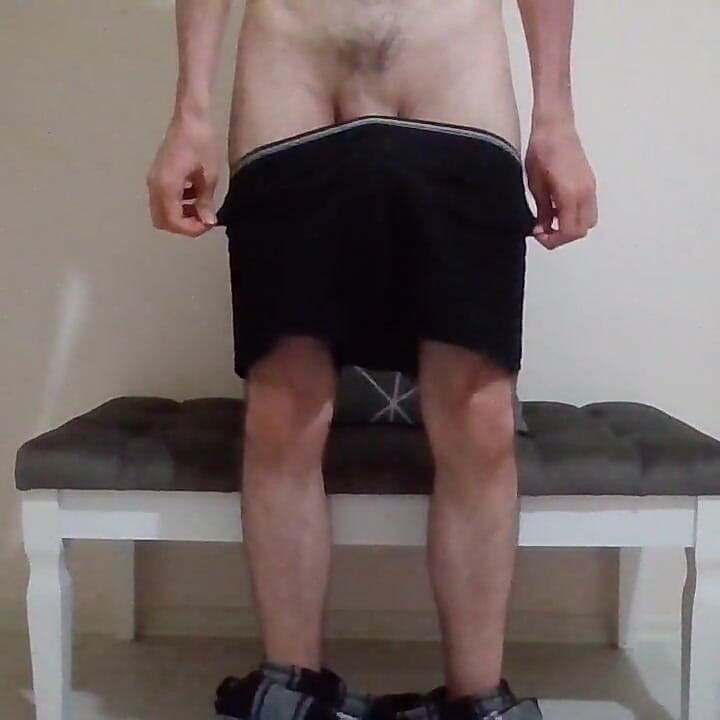 The Couch