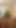 Assy bigtits horny teen moans in every thrust of her dildo
