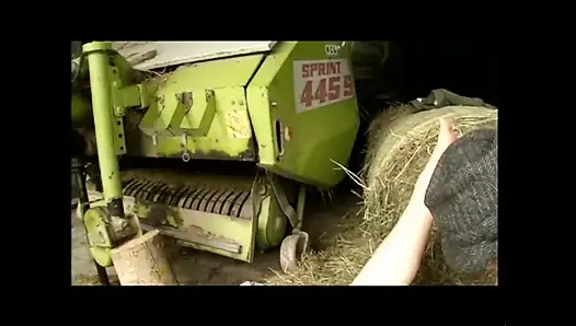 Die Alten Freudigen Frauen (filme)