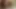 My doggy to Creampie