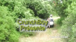 Pratinjau video