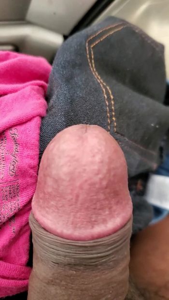 Thợ máy tìm thấy chiếc quần lót màu hồng bị ố bẩn trong chiếc xe tải nhỏ của Costumer