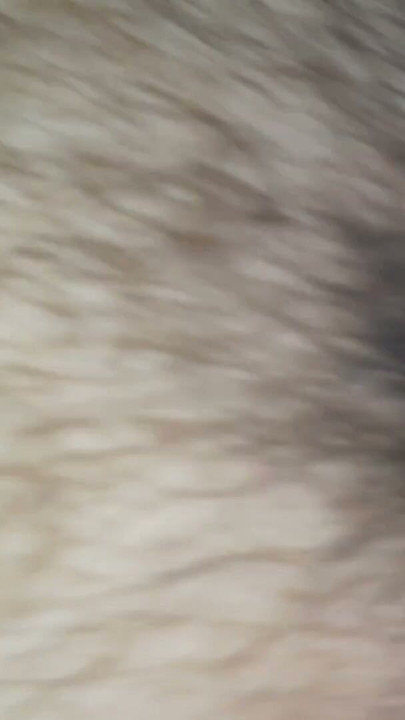 I went into my aunt's room to jerk off to her hairy pussy. | Clip 1
