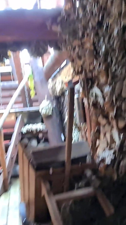 丰满的城市淫娃寻找一个大国鸡巴 |剪辑 1