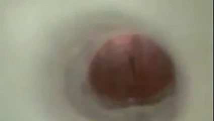In 'n out çözümü