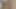 セクシーなダンス小さなディックの嘲笑