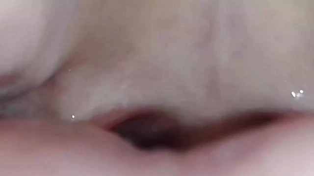 xhamster pussy sexe