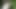 Evelina Darling ass fucked in the park! Public pee in the park