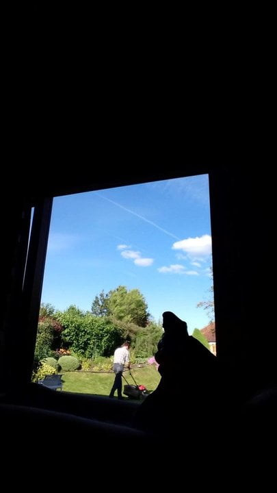 Caught Again