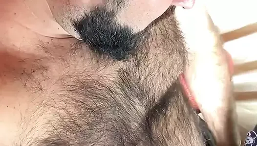 Bear Dominating His Cub