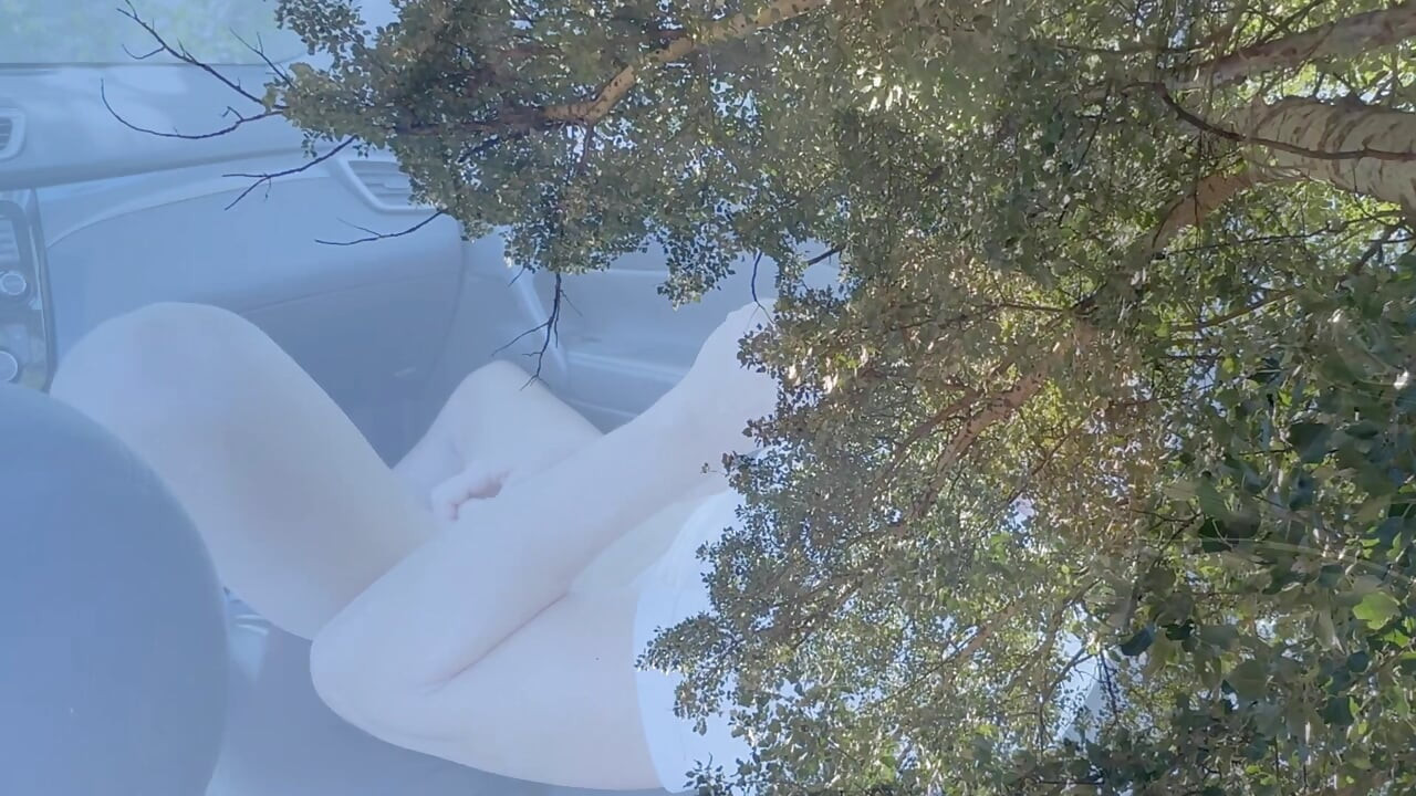 I took my cock out in his car, because I felt very well that all he wanted was to suck me !
