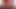 Latina Transsexuals in Christmas Lingerie Swap Anal Pleasure