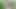 Jungle Mein Bhaiya Ne Bhabhi Ko Lund Chuswa Ke Chut Ko Chudai Kiya.Desi Housewife Ki Khet Me Husband Ne Boobs Chus Ke Pella.Hindi Porn Videos