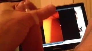 Tribute 2